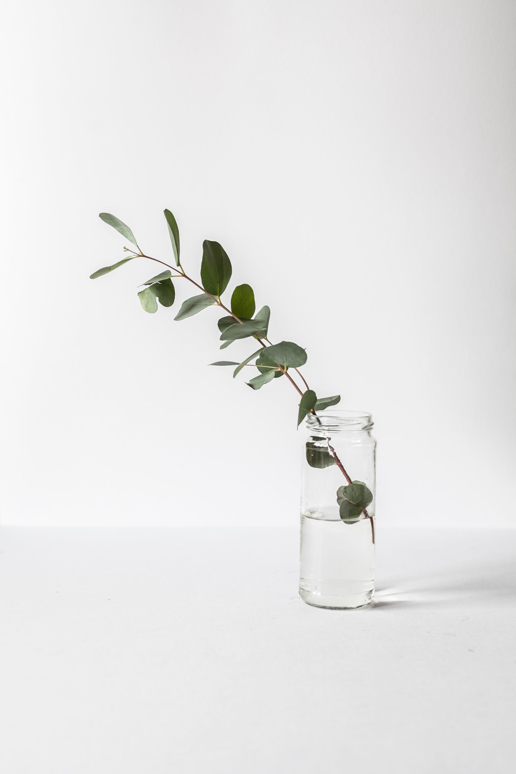 alex-loup-mwINQsW2KJs-unsplash Le Sens du Lieu : Harmoniser individus & environnements